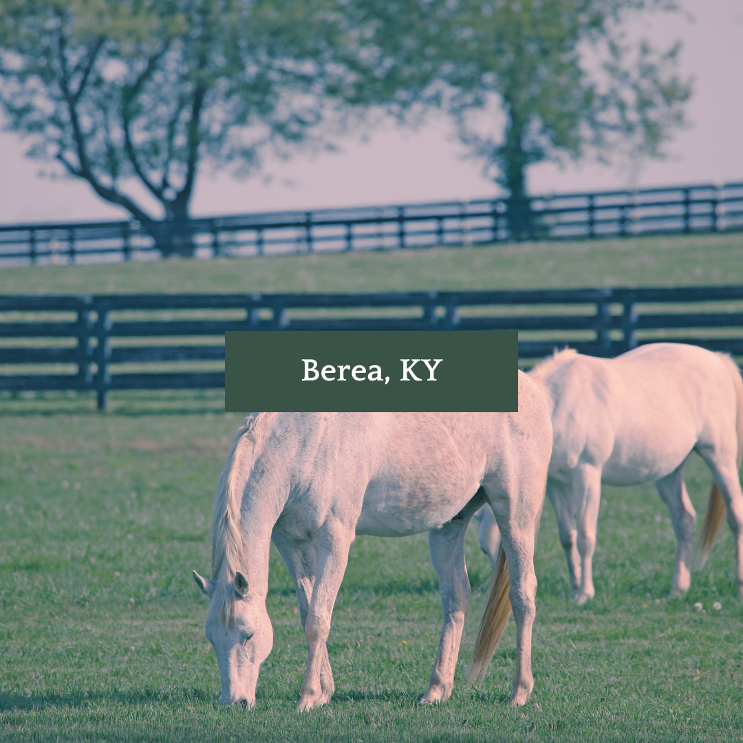Berea KY